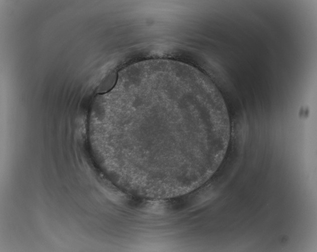 X0000110730127200907101437