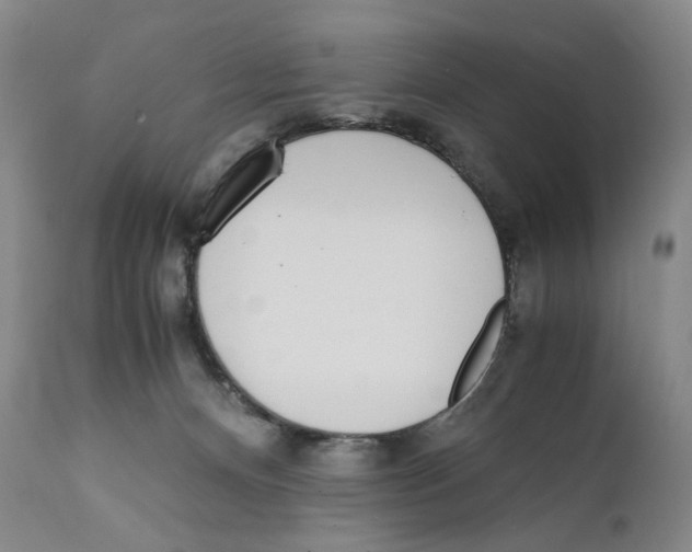 X0000110730128200907101437