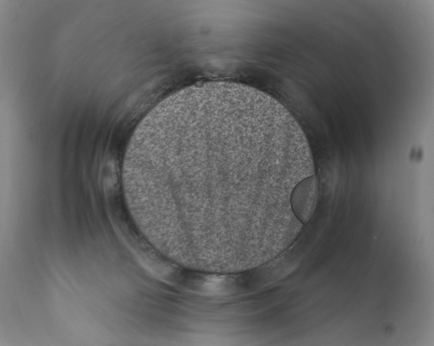 X0000110730130200907101437