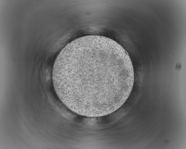 X0000110730131200907101437
