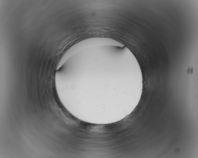 X0000110730132200907101437