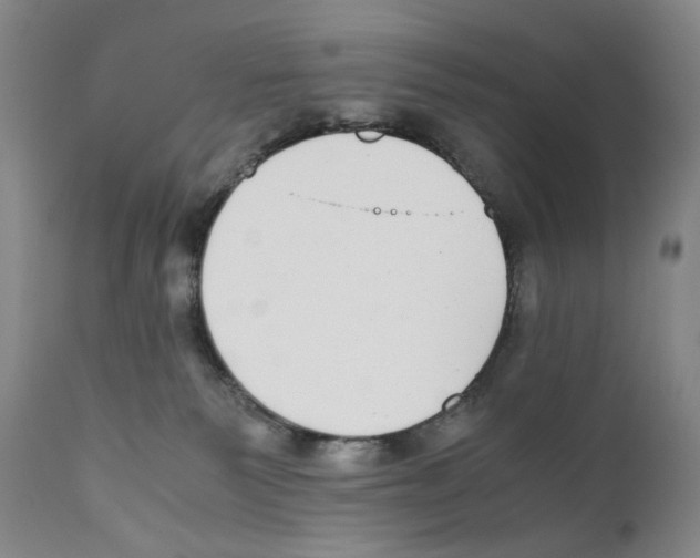 X0000110730135200907101437