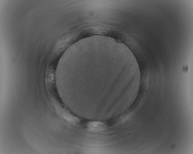 X0000110730137200907101437