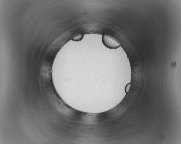 X0000110730138200907101437