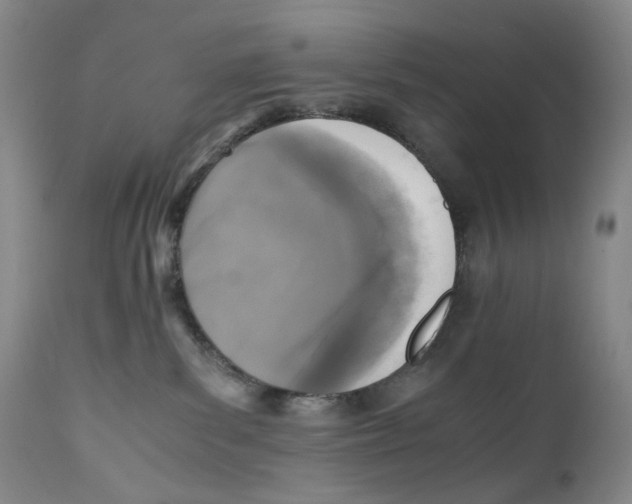 X0000110730139200907101437