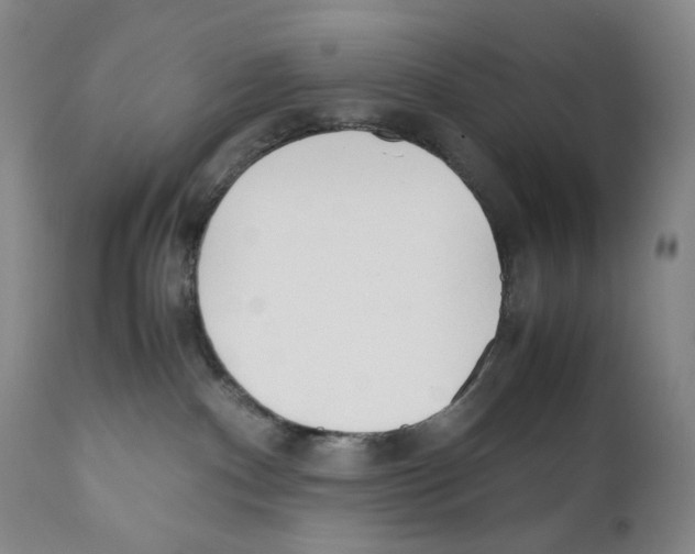 X0000110730140200907101437
