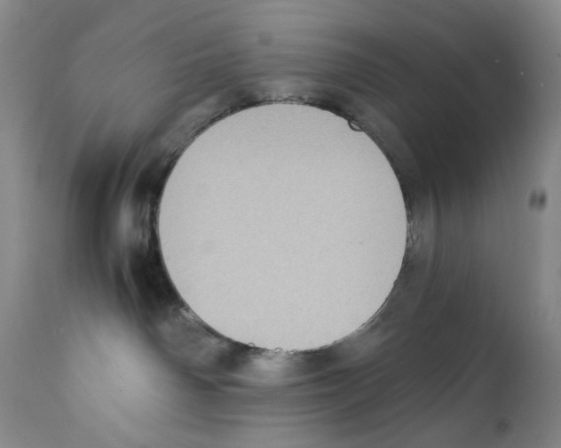 X0000110730142200907101437