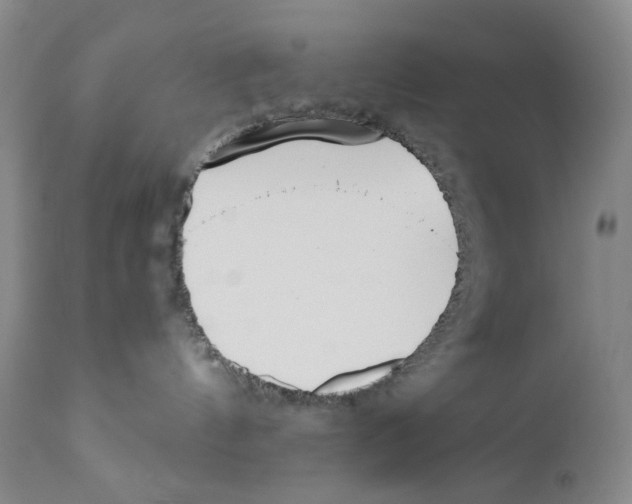 X0000110730144200907101437