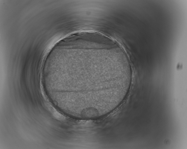 X0000110730145200907101436