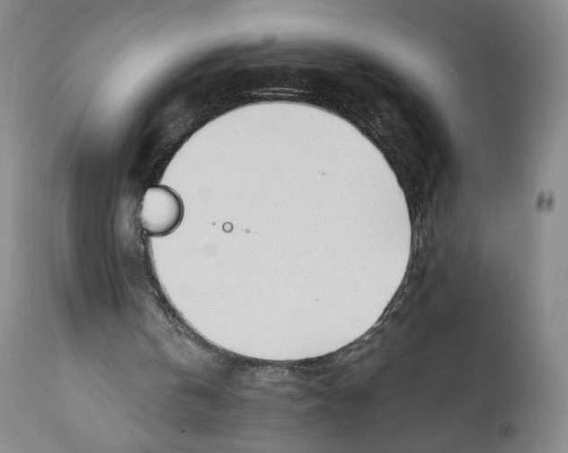 X0000110730146200907101436