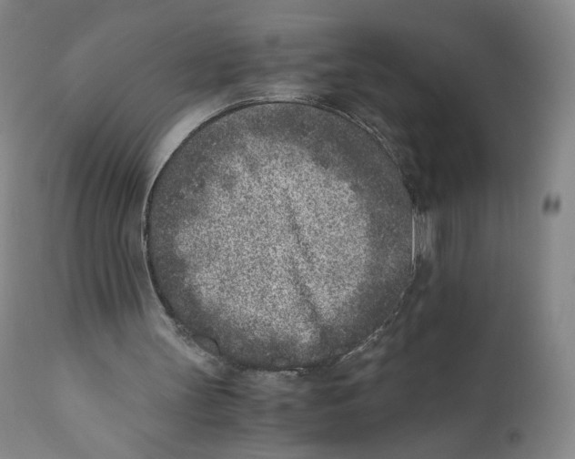 X0000110730147200907101436