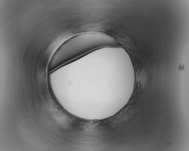 X0000110730148200907101436