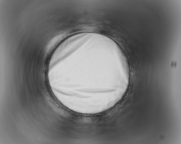 X0000110730149200907101436