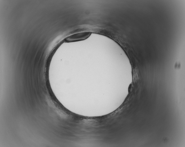 X0000110730150200907101436