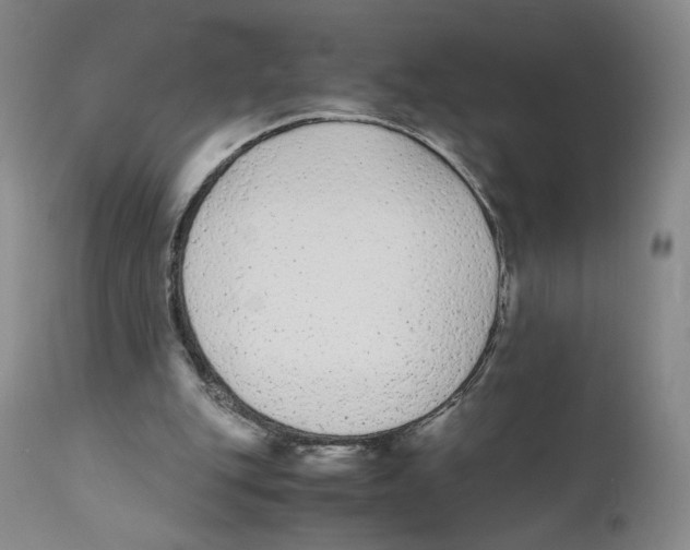 X0000110730151200907101437