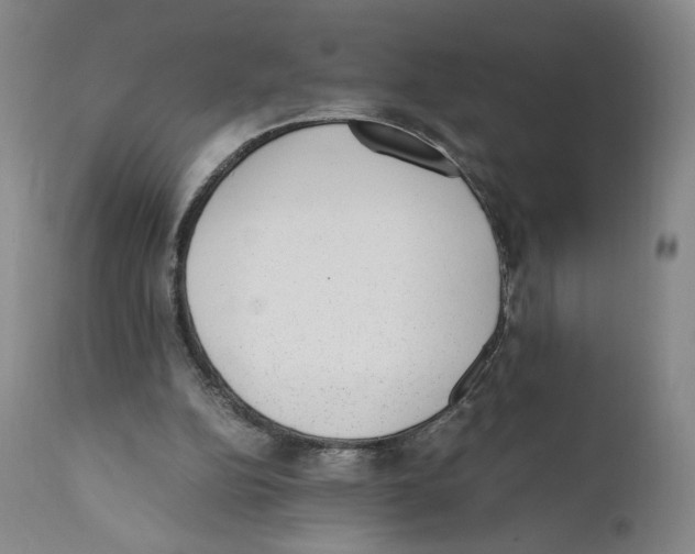 X0000110730152200907101437