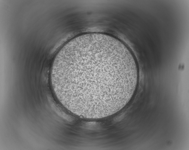 X0000110730153200907101437
