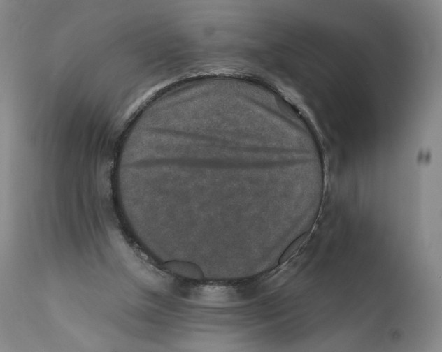 X0000110730154200907101437