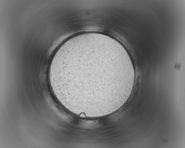 X0000110730155200907101437