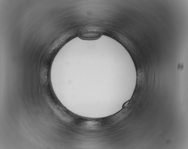 X0000110730158200907101437