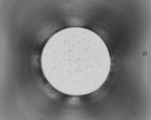 X0000110730162200907101437