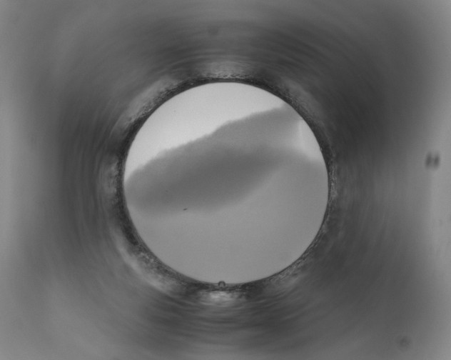X0000110730163200907101437
