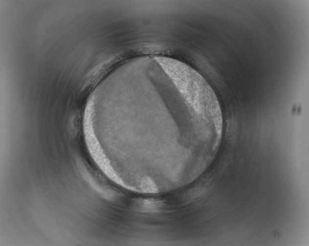 X0000110730165200907101437