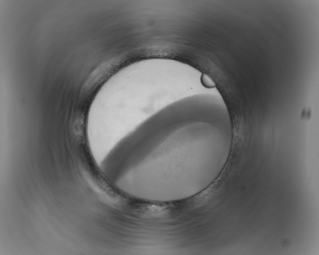 X0000110730166200907101437