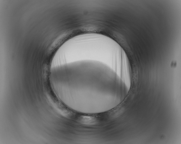 X0000110730167200907101437