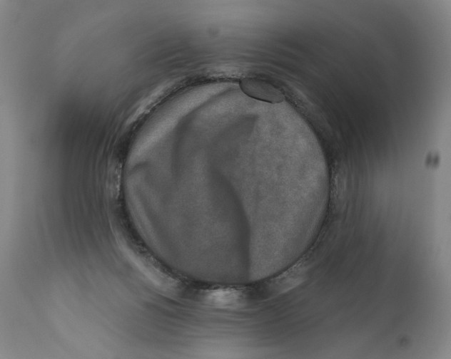 X0000110730168200907101437