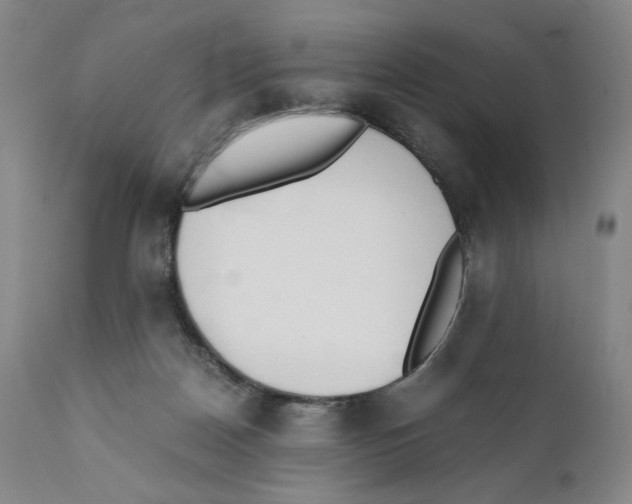 X0000110730170200907101437