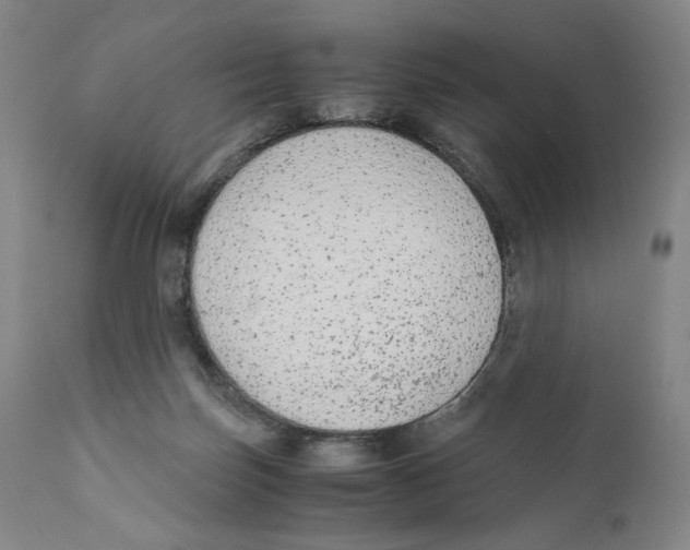 X0000110730171200907101437