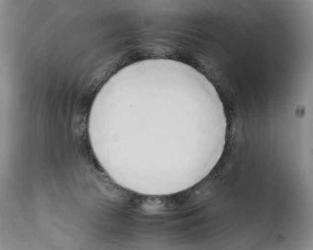 X0000110730177200907101437