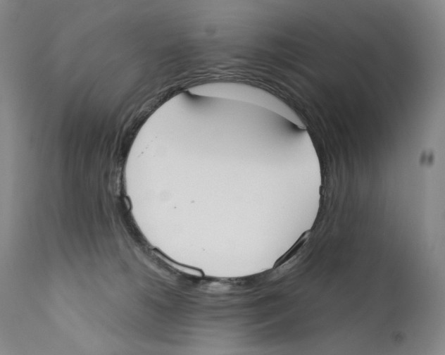 X0000110730180200907101437