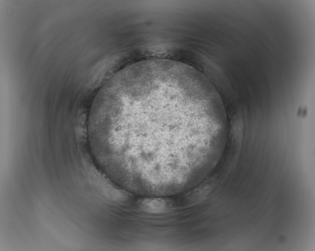X0000110730181200907101437