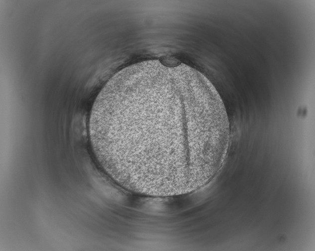X0000110730182200907101437