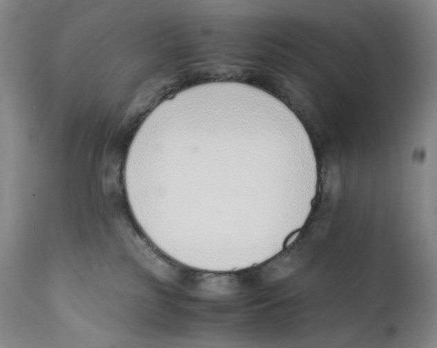 X0000110730185200907101437