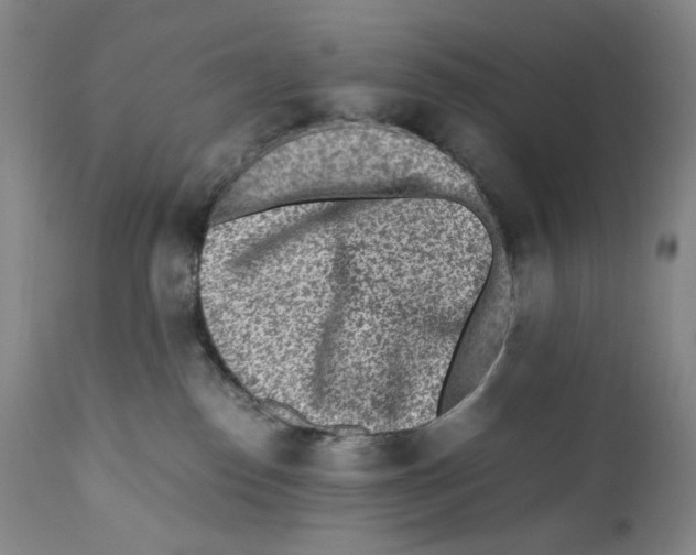 X0000110730186200907101437