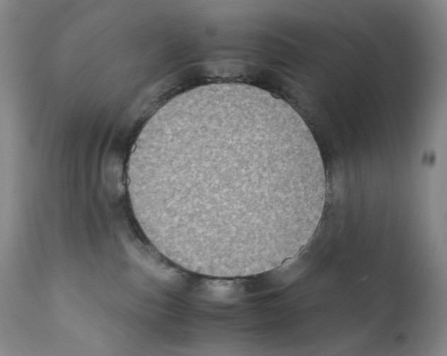 X0000110730187200907101437