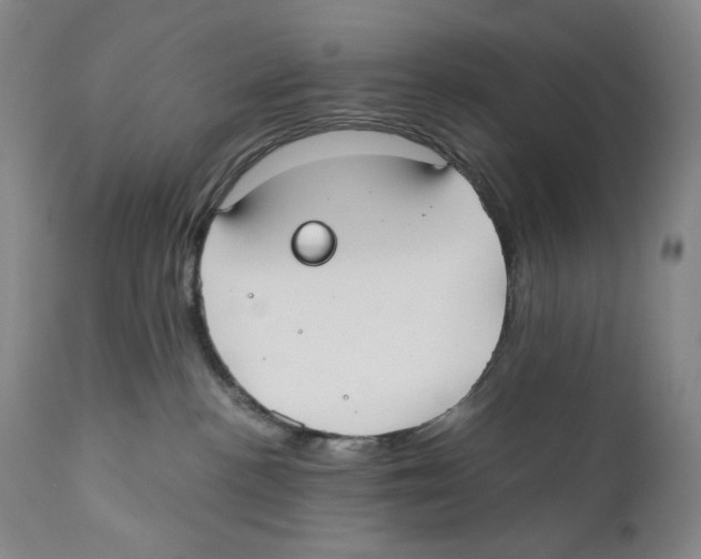 X0000110730188200907101437