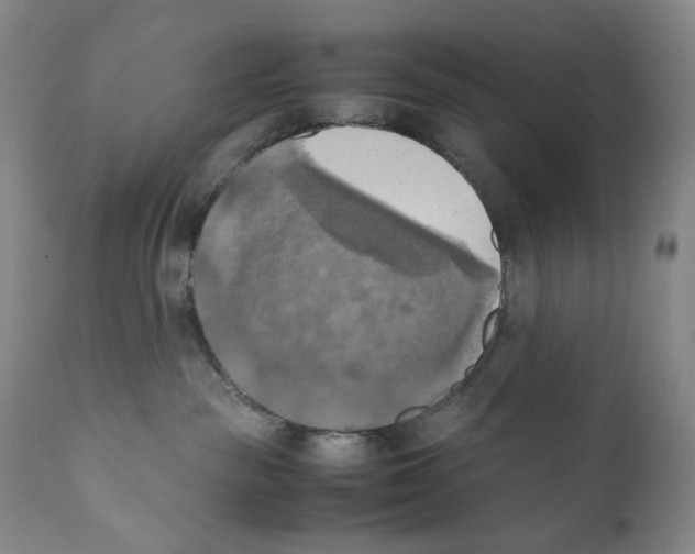 X0000110730189200907101437