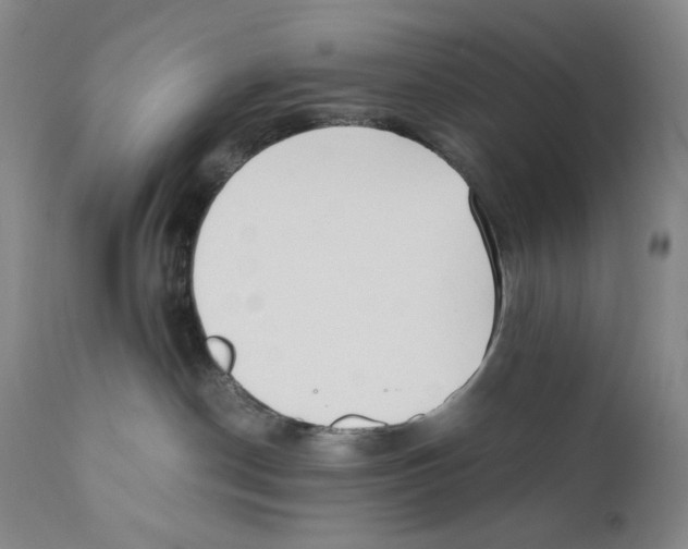 X0000110730190200907101437