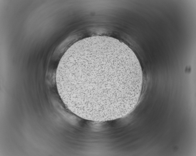 X0000110730191200907101437