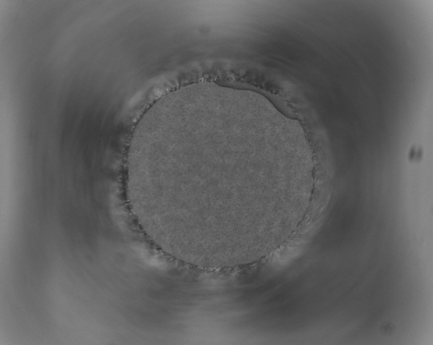 X0000110730192200907101437