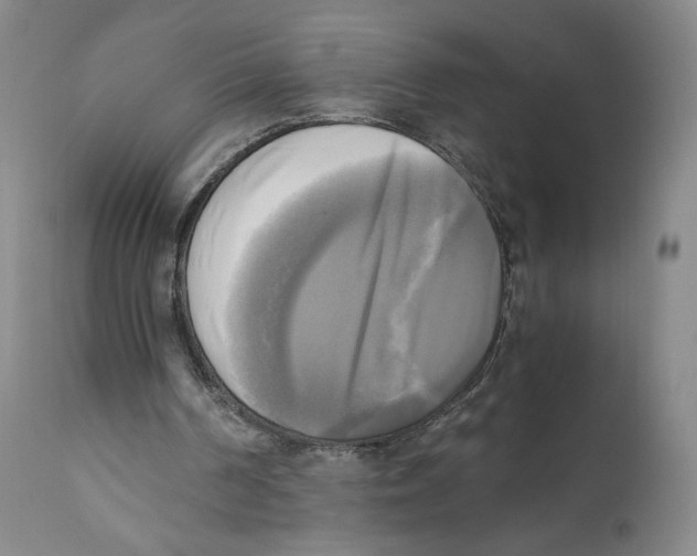 X0000110730194200907101436
