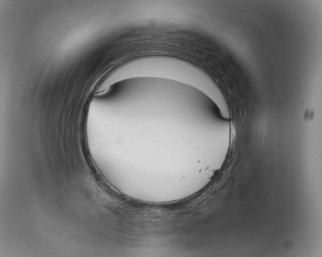 X0000110730195200907101436