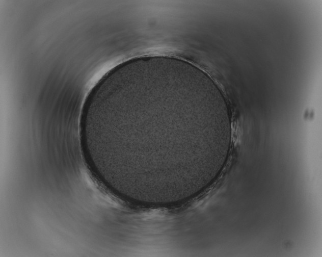 X0000110730196200907101436