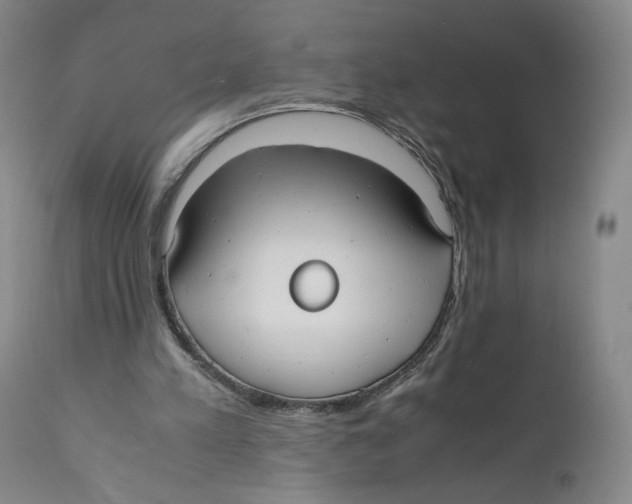 X0000110730197200907101436