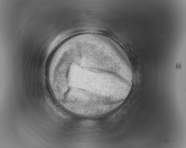 X0000110730198200907101436
