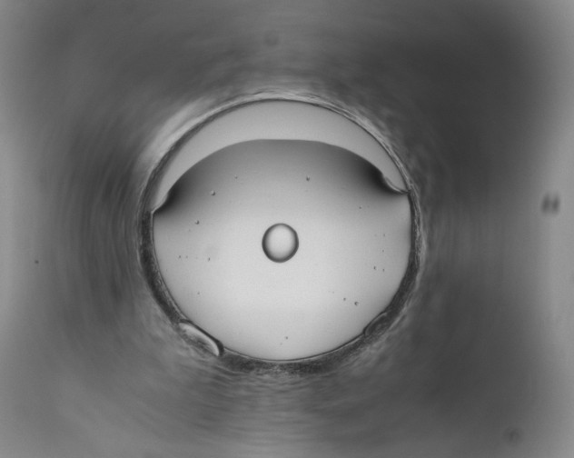 X0000110730199200907101436